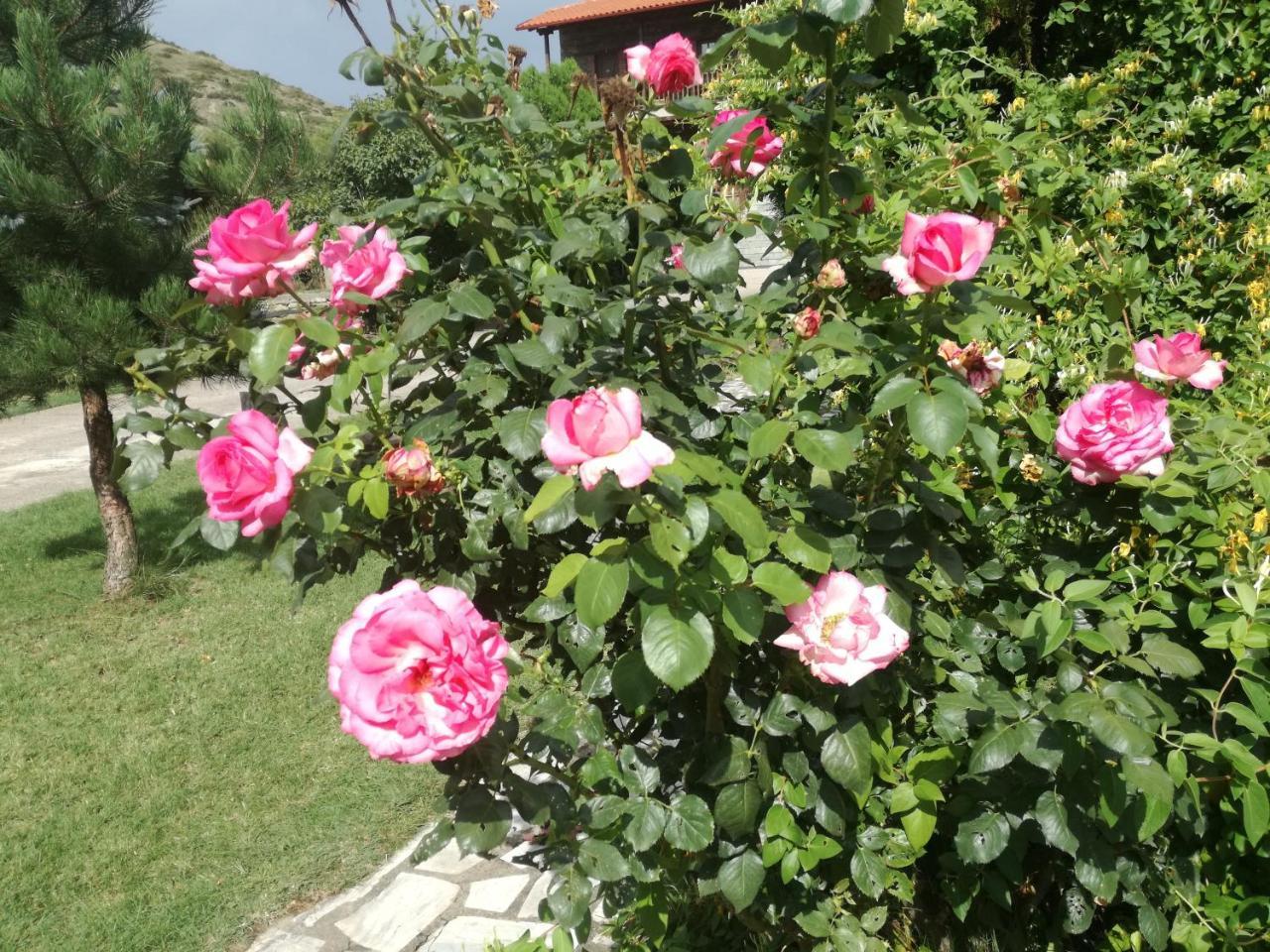 Prespa Resort & Spa Platy  ภายนอก รูปภาพ