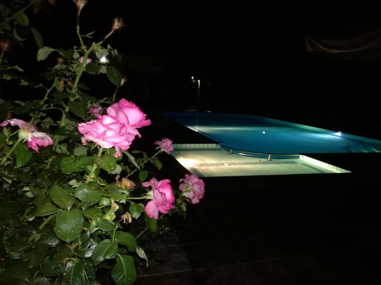 Prespa Resort & Spa Platy  ภายนอก รูปภาพ